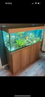 Aquarium  juwel, Ophalen, Leeg aquarium