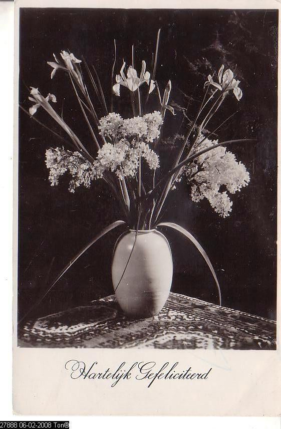 Ansichtkaart	Hartelijk Gefeliciteerd	Bloem	Mimosa & irissen, Verzenden, 1940 tot 1960, Gelopen, Natuur