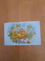 MOLLY BRETT - ANSICHTKAART, Ophalen of Verzenden