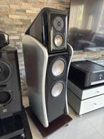 Revel Ultima Studio, Overige merken, Gebruikt, Ophalen of Verzenden, 120 watt of meer