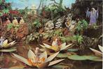 Ansichtkaart	Kaatsheuvel	De Efteling	De Indische Waterlelies, Verzenden, 1980 tot heden, Gelopen, Noord-Brabant