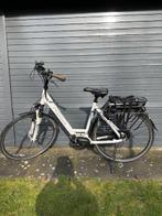 E-Bike: Pegasus Siena, Versnellingen, Ophalen, Overige merken, 53 tot 56 cm