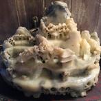 Antiek Chinees Spekstenen Tempelcomplex - Gedetailleerd, Ophalen of Verzenden, Gebruikt, Religie