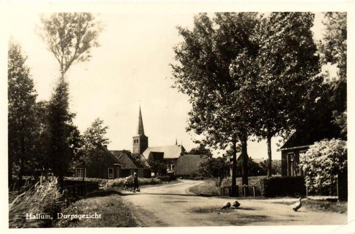 Hallum, Dorpsgezicht - 1954 gelopen, Verzamelen, Ansichtkaarten | Nederland, Gelopen, Noord-Brabant, Voor 1920, Ophalen of Verzenden