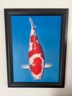 Schilderij olieverf van een Koi karper in lijst, Antiek en Kunst, Ophalen of Verzenden
