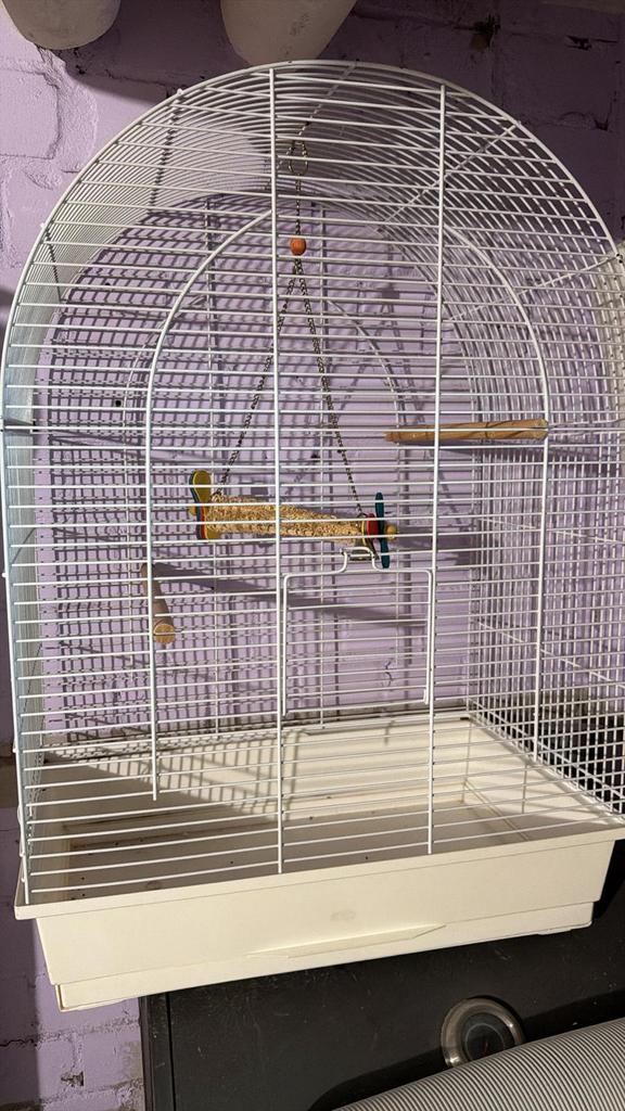 Groet kooi voor vogels, Ophalen of Verzenden, Gebruikt, Metaal, Vogelkooi