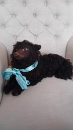 Antieke Pyjama Bruine Hond Lou Lou 19e Eeuws Frankrijk., Ophalen of Verzenden