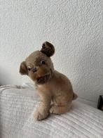 Oud hondje, Ophalen of Verzenden