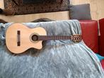 Peavey Delta Woods CNS-CE Klassieke Nylon Snaar Gitaar, Muziek en Instrumenten, Snaarinstrumenten | Gitaren | Akoestisch, Ophalen