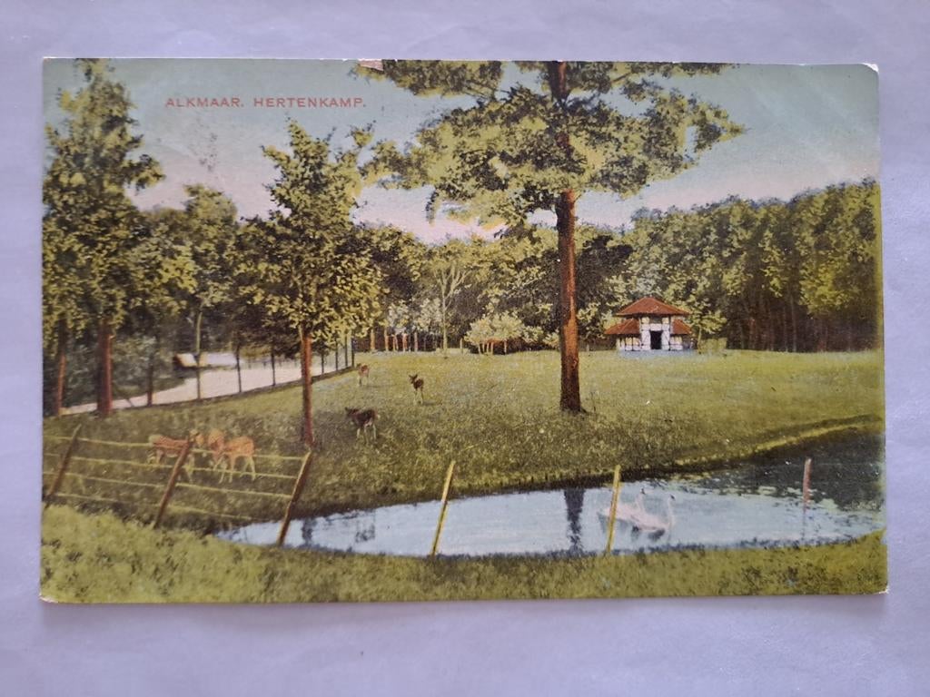 Alkmaar,  hertenkamp,  gelopen, Ophalen of Verzenden, 1940 tot 1960, Friesland