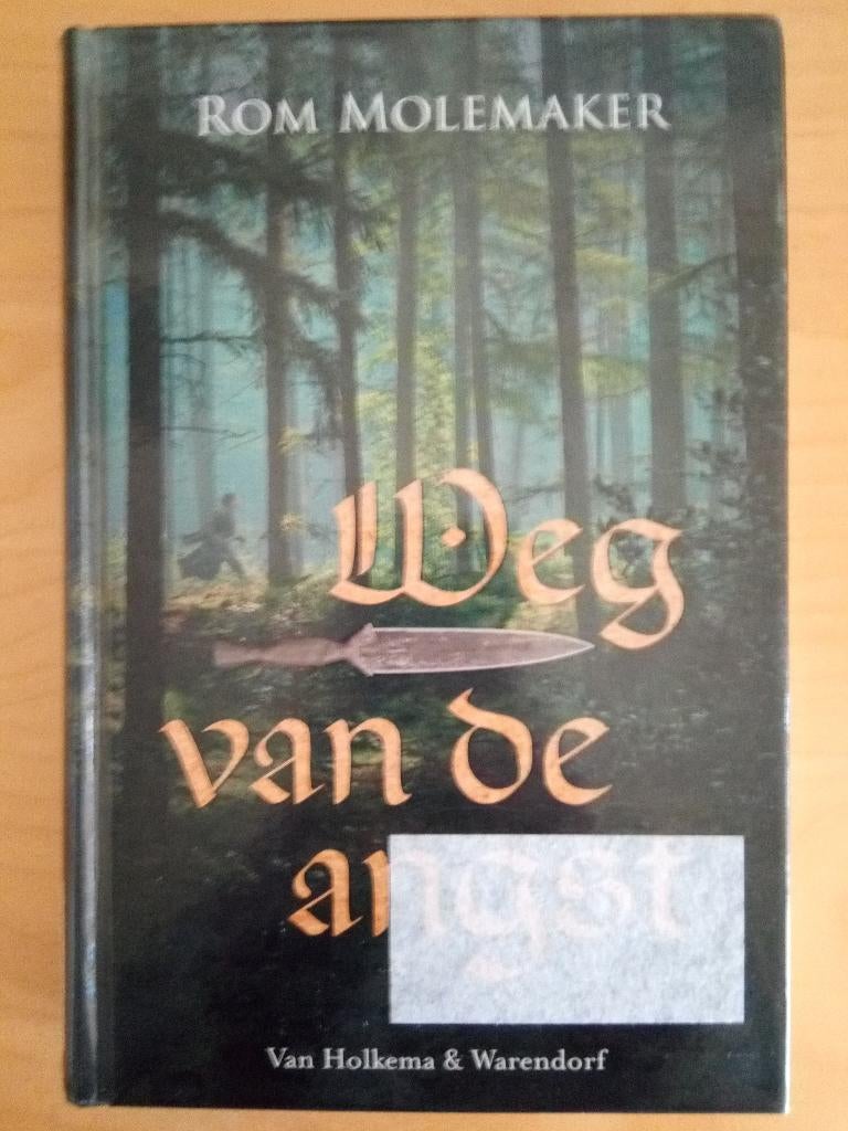 Rom Molemaker - Weg van de angst, Boeken, Ophalen of Verzenden, Gelezen, Rom Molemaker