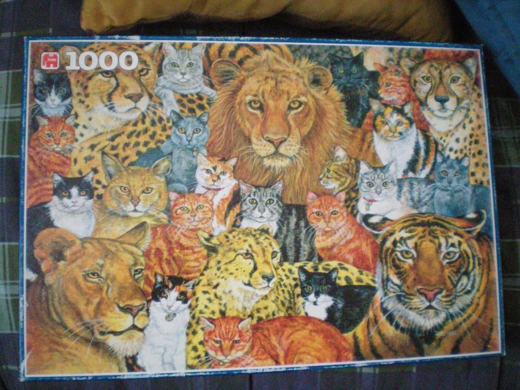 JUMBO Puzzel 1000 stukjes. Roofdieren., Ophalen of Verzenden, 500 t/m 1500 stukjes, Gebruikt, Legpuzzel