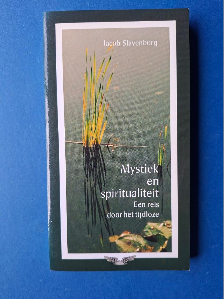 Mystiek en spiritualiteit - Jacob Slavenburg, Boeken, Verzenden, Zo goed als nieuw, Overige onderwerpen, Achtergrond en Informatie