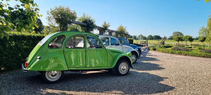 Citroën 2CV 1974 Groen, Auto's, Citroën, Particulier, 2CV, Benzine, Cabriolet, Handgeschakeld, Geïmporteerd, Groen, Bruin, Ophalen