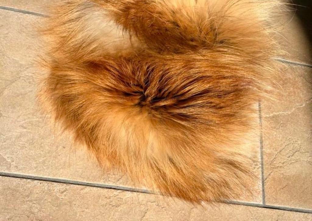 Elegante cognac kleur vossen bontmuts, satijn afgewerkt, Ophalen of Verzenden, Zo goed als nieuw, One size fits all, Hoed