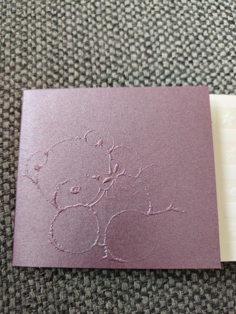 Mandy, Ophalen of Verzenden, 2000 tot heden, Geboortekaartje