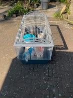 Te koop: Ferplast Casita 120 Cavia, knaagdier kooi compleet, Dieren en Toebehoren, Kooi, Cavia, Ophalen, Minder dan 60 cm