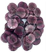 Luxe partij 37 Glasfolie Kralen paars - Nieuw P-22, Ophalen of Verzenden, Nieuw, Kraal