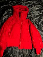 Goldbergh volare jas rood 40, Kleding | Dames, Wintersportkleding, Ophalen of Verzenden, Zo goed als nieuw, Maat 38/40 (M), Jack