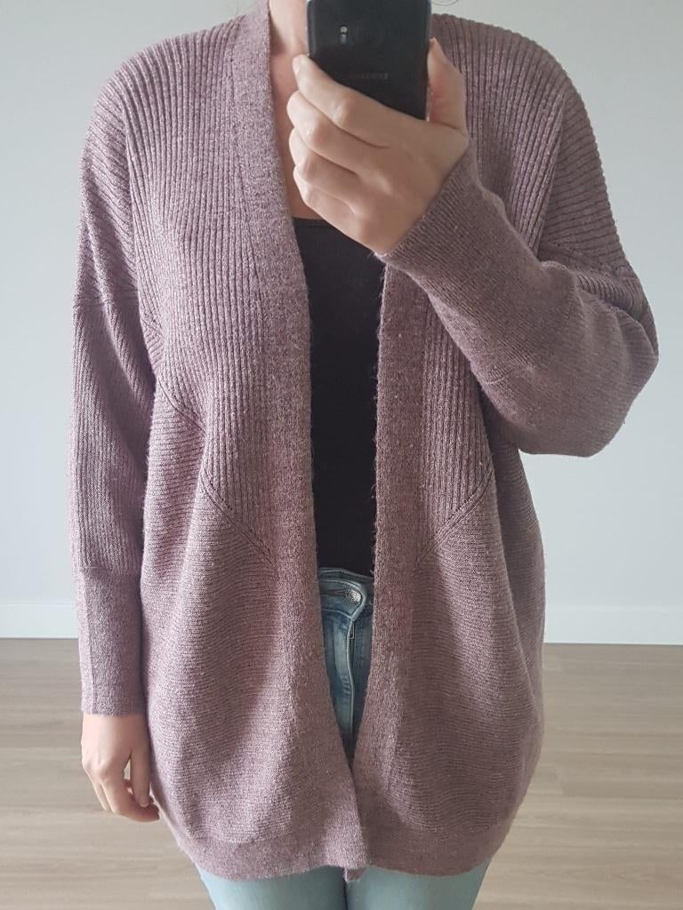 Vest Roze M Ongedragen Warm, Maat 38/40 (M), Verzenden, Nieuw, Roze
