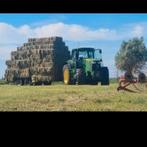 Kleine baaltjes Hooi - oogst 2025