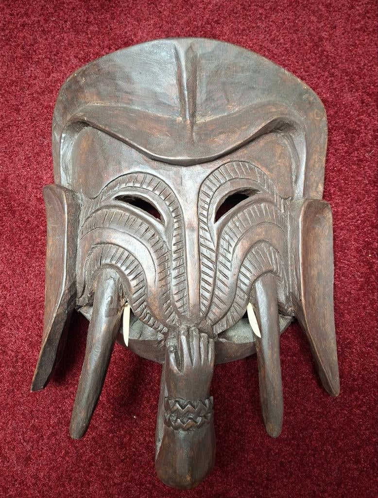 Masker slagtanden arm, Ophalen, Landmacht, Nederland