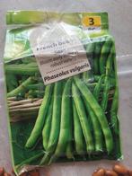 Bonen zaden, Ophalen, Volle zon