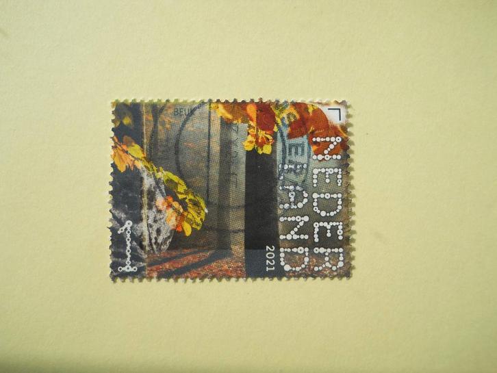 Nederland 2021 Beleef de Natuur Beuk NVPH.3941 gestempeld, Postzegels en Munten, Postzegels | Nederland, Gestempeld, Na 1940, Ophalen of Verzenden