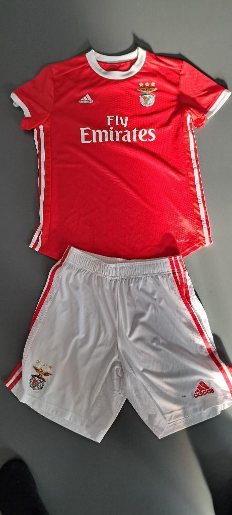 Benfica tenue shirt en broek seizoen 2019/2020 maat M, Verzamelen, Sportartikelen en Voetbal, Ophalen of Verzenden, Zo goed als nieuw