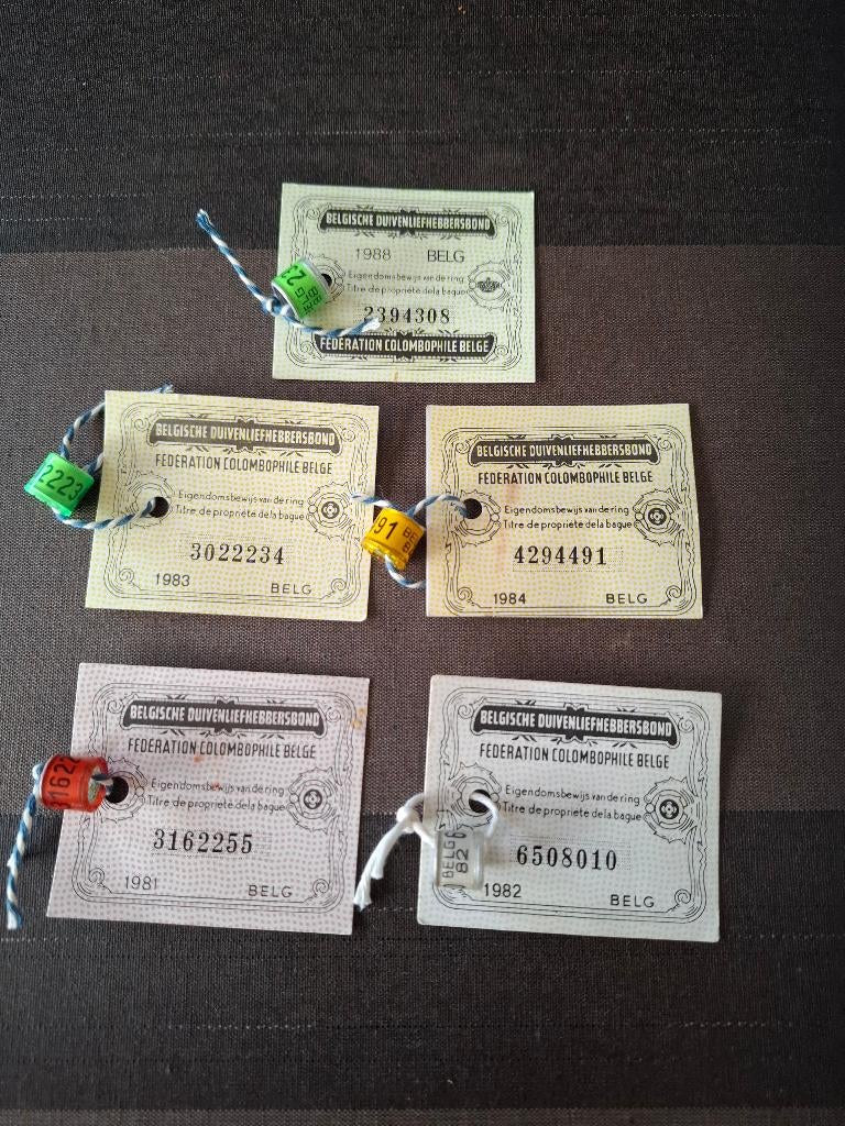 5 duivenringen jaren 80, Vrouwelijk, Postduif