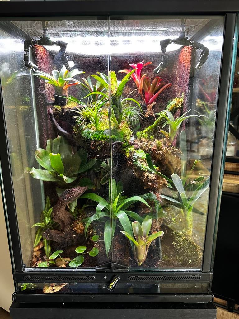 Terrarium/paludarium, Dieren en Toebehoren, Reptielen en Amfibieën | Toebehoren, Ophalen, Zo goed als nieuw, Terrarium of Paludarium