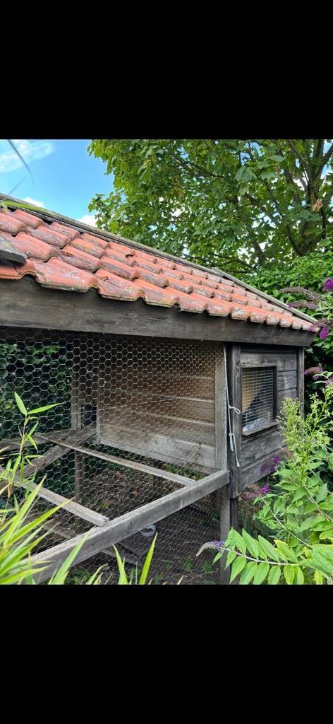 Kippenhok met veel ruimte, Ophalen, Gebruikt, Kippenhok of Kippenren