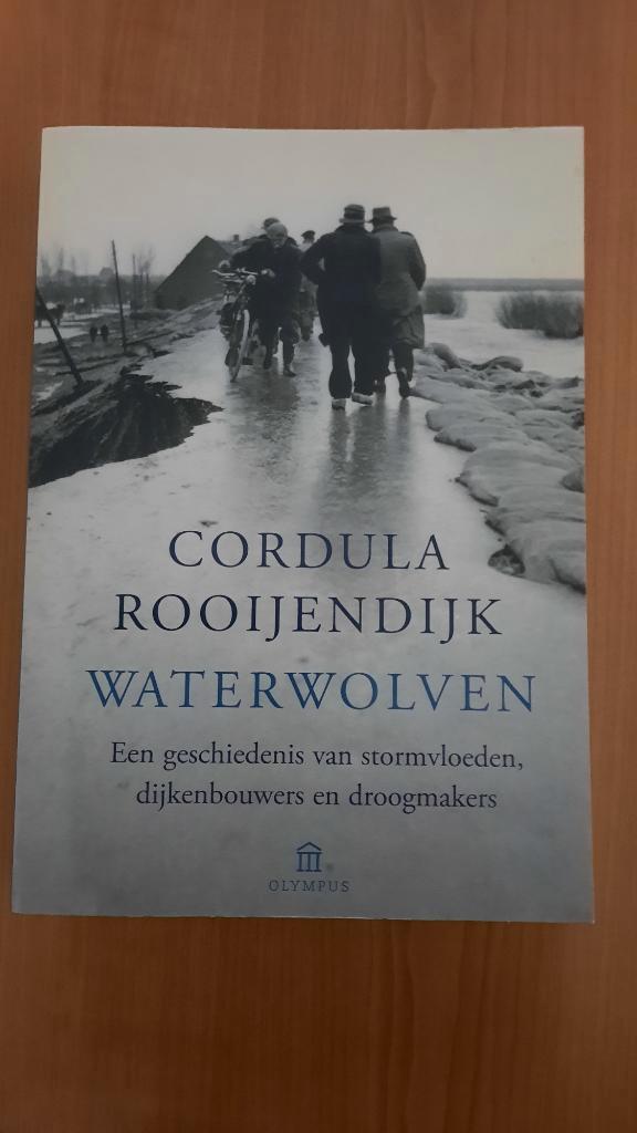 Waterwolven door Cordula Rooijendijk, Boeken, Geschiedenis | Vaderland, Gelezen, 20e eeuw of later, Ophalen of Verzenden