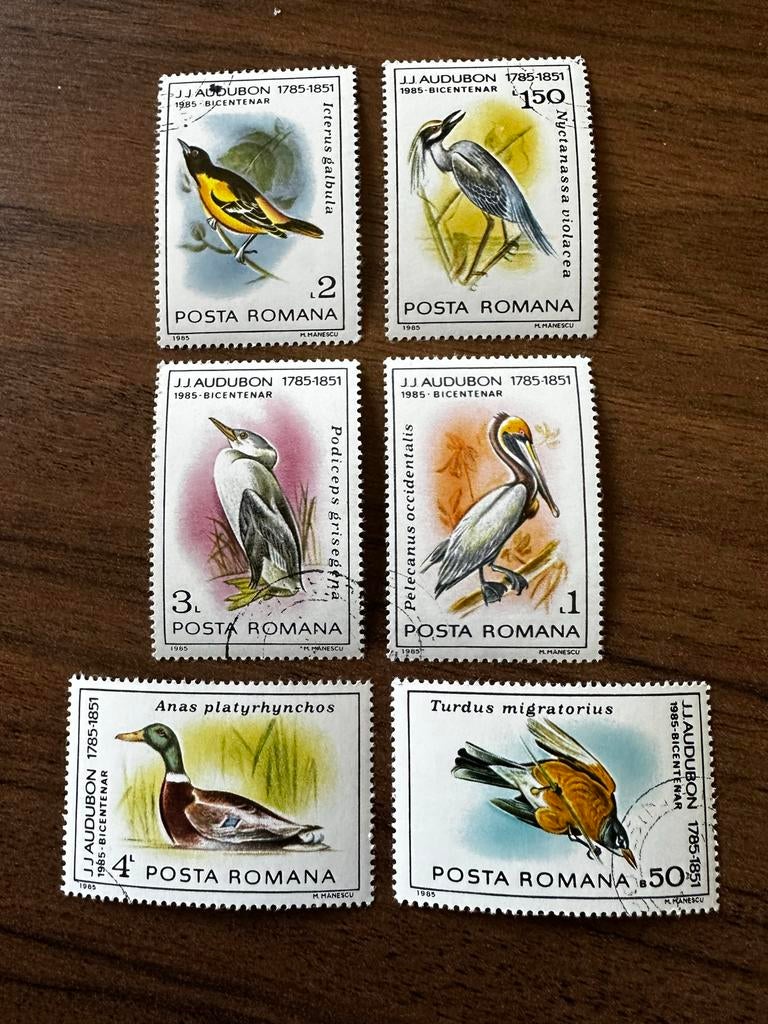 Roemenië 1985 - Vogels - Gestempeld pelikaan, Ophalen of Verzenden, Overige landen, Gestempeld