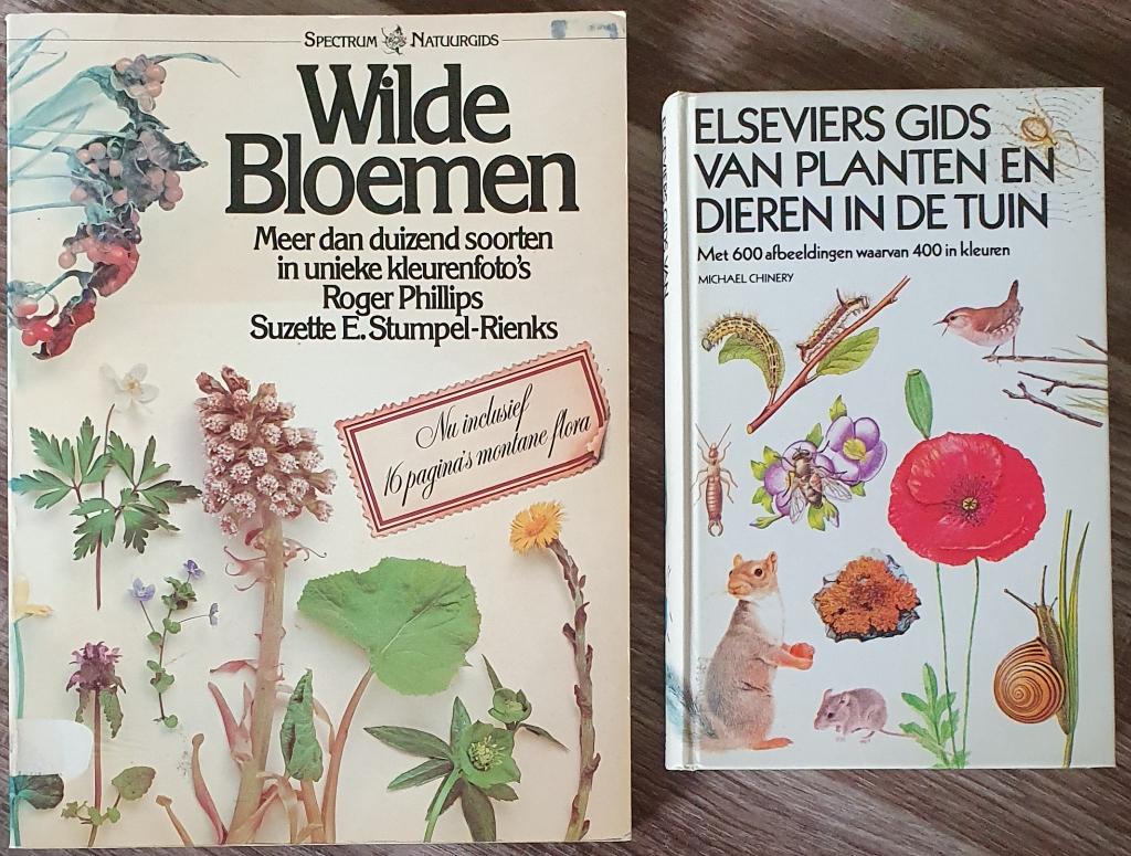 BOEKEN.  KASTOPRUIMING., Ophalen, Gelezen