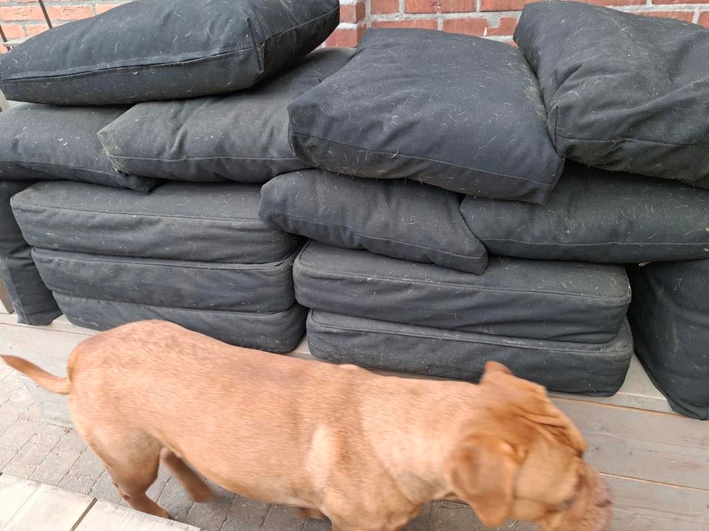 Zwarte kussens voor loungeset, Ophalen, Gebruikt, Zwart, Vierkant