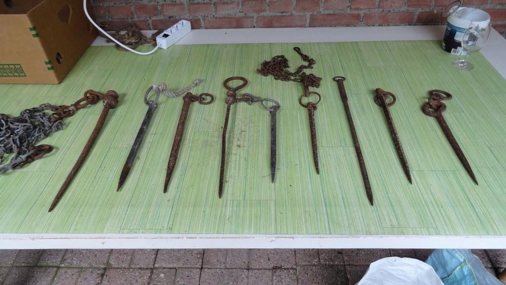 Stik, spit, diverse met of zonder ketting pony, schaap geit, Vrouwelijk, Geit