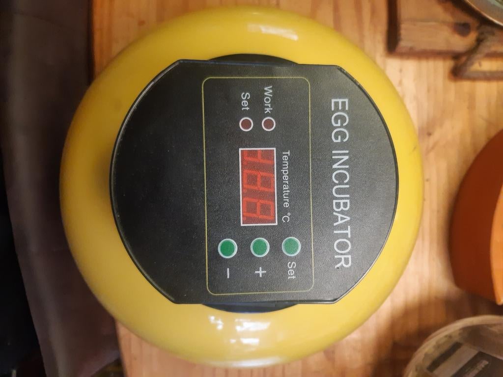 Broedmachine, Ophalen of Verzenden, Zo goed als nieuw, Broedmachine