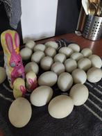 Verse eenden eieren.... €0.50 per ei pb. vd adres gegevens, Dieren en Toebehoren, Geslacht onbekend