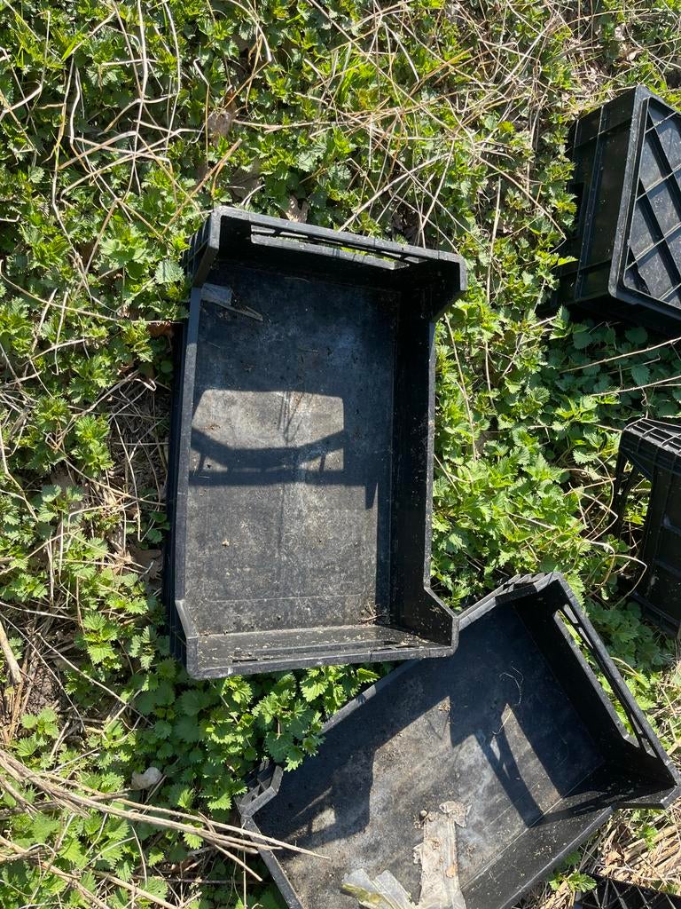 Zwarte plastic kratten, Gebruikt, Minder dan 35 cm, Minder dan 50 cm, Ophalen of Verzenden