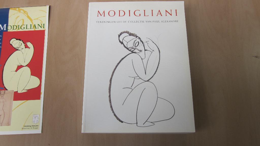 Modigliani - Noël Alexandre, Noël Alexandre, Ophalen of Verzenden, Zo goed als nieuw, Schilder- en Tekenkunst