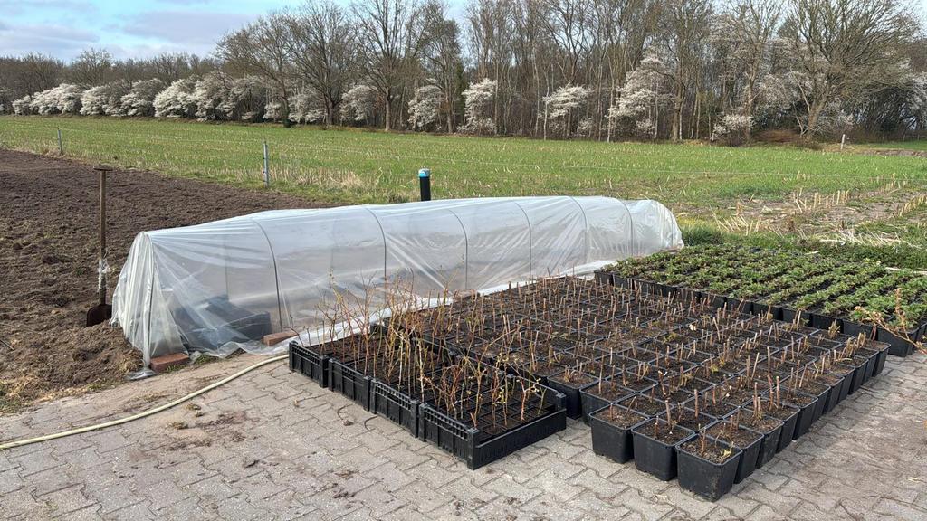 Kleine tunnelkas frames., Ophalen of Verzenden, Glas, Staal