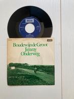 Boudewijn de Groot, Cd's en Dvd's, Ophalen of Verzenden, Zo goed als nieuw, Overige formaten, Levenslied of Smartlap
