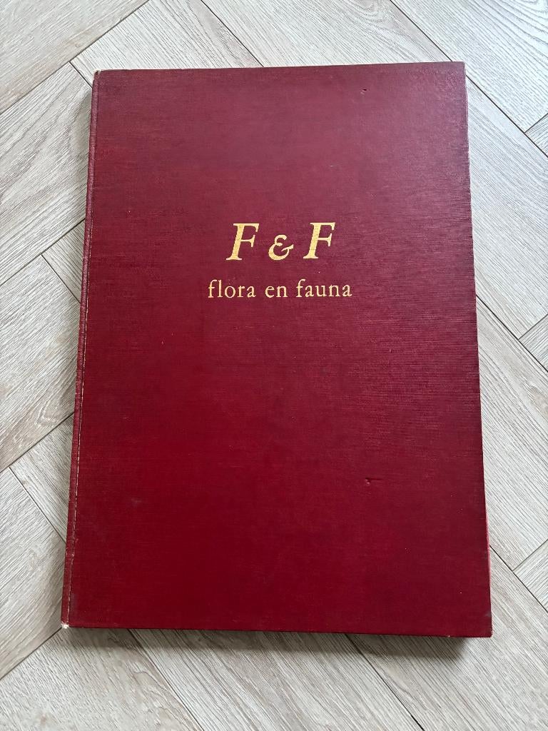 Vintage boek 'Flora & Fauna' - J. Boonstra., Boeken, Natuur, Ophalen of Verzenden, Gelezen, Bloemen, Planten en Bomen, J. Boonstra
