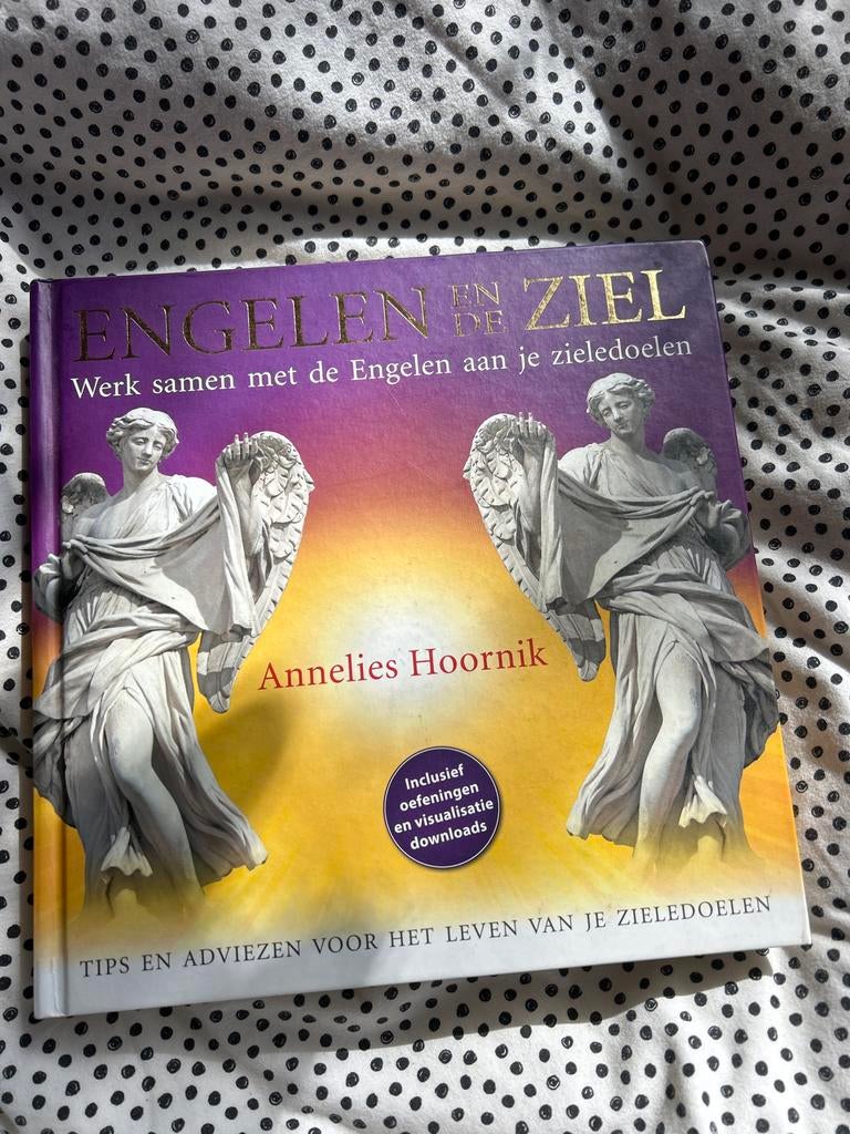 Engelen en de Ziel: Werk samen met Engelen aan je zieledoele, Ophalen of Verzenden, Zo goed als nieuw, Spiritualiteit algemeen