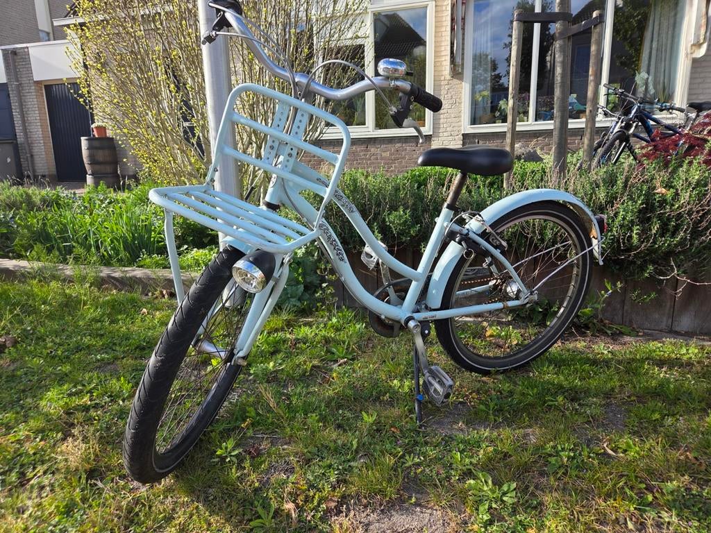 Gazelle Freestyler 24 inch met voordrager en versnellingen, Ophalen, Gebruikt, 20 inch of meer, Gazelle