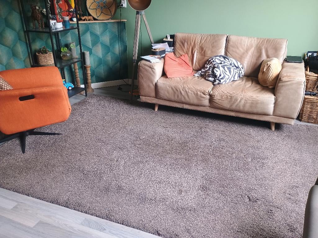 Gratis vloerkleed, Huis en Inrichting, Ophalen, Gebruikt, Bruin, 200 cm of meer
