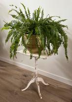 Plantentafeltje / bijzettafeltje, Ophalen