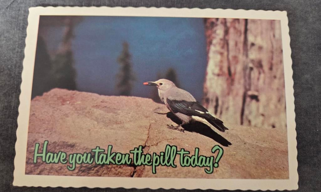 Have you taken the pill today?, Verzenden, Ongelopen, Overige thema's
