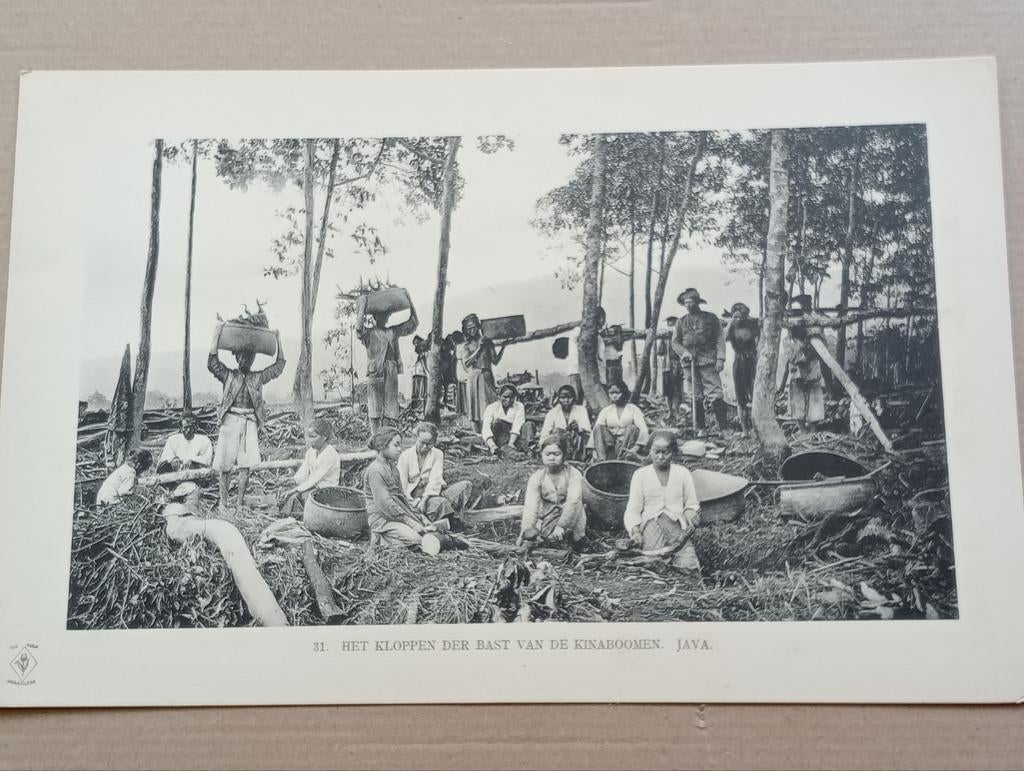 Foto gravure Nederlands Indië Indonesië 1910, Verzamelen, Ophalen of Verzenden, Voor 1940, Zo goed als nieuw, Buitenland